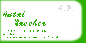 antal mascher business card